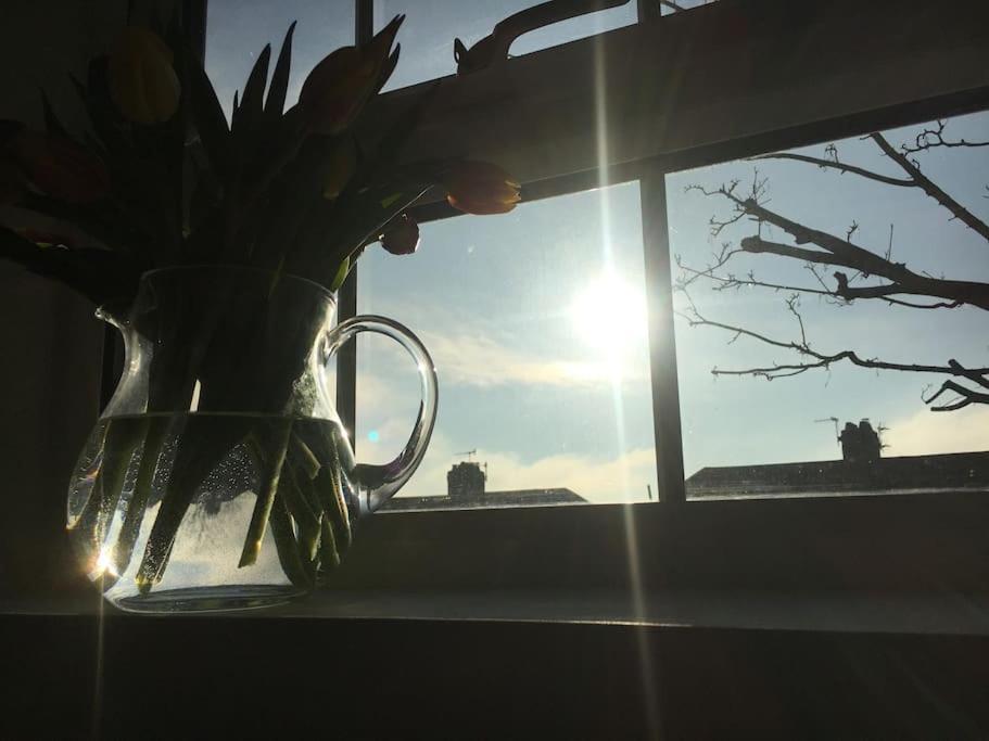Brighton Boutique Garden Studio With Free Parking 외부 사진